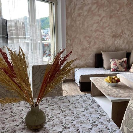 Apartment Dragan Budva Zewnętrze zdjęcie